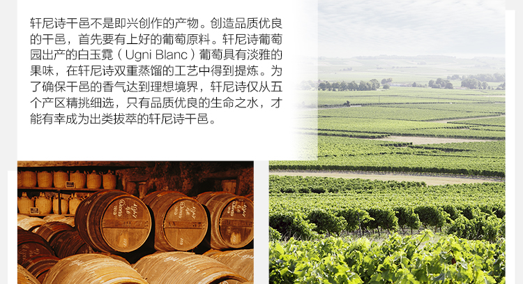 详情图片9.jpg