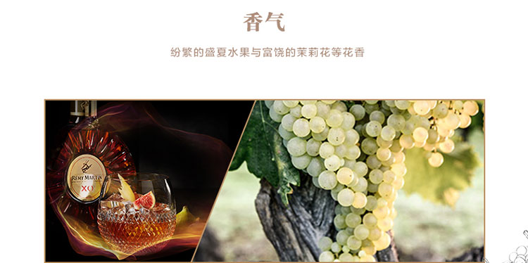 详情-04.jpg