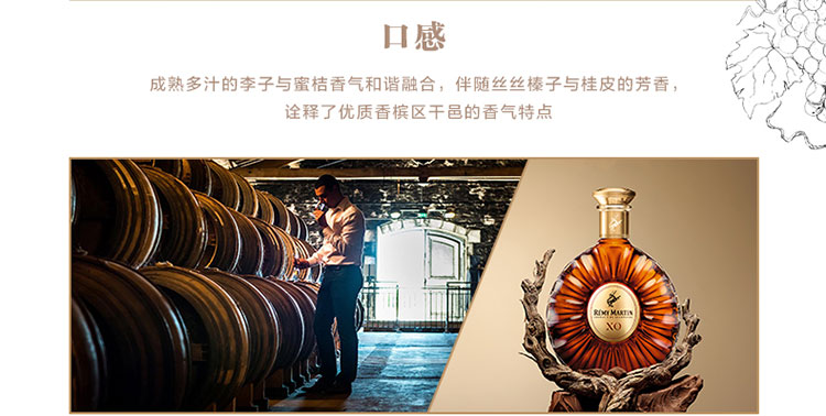 详情-05.jpg