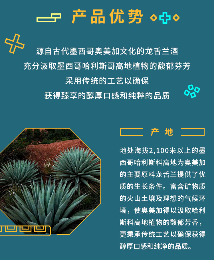 详情图片4.jpg
