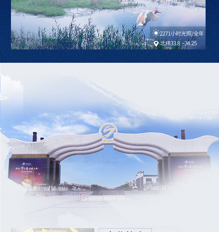 详情-09.jpg