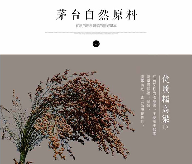 详情图片8.jpg
