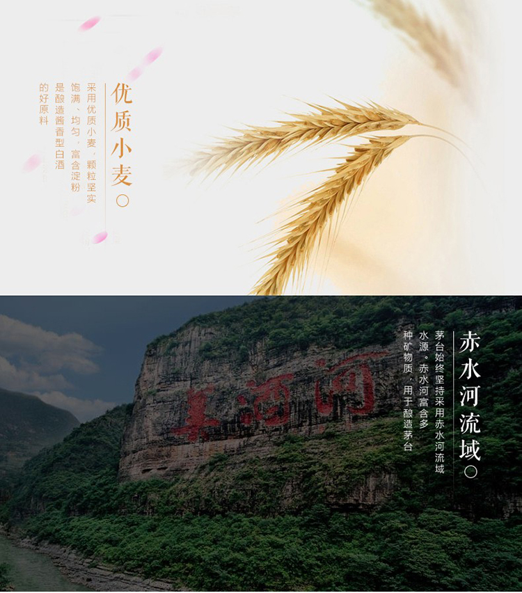 详情图片9.jpg