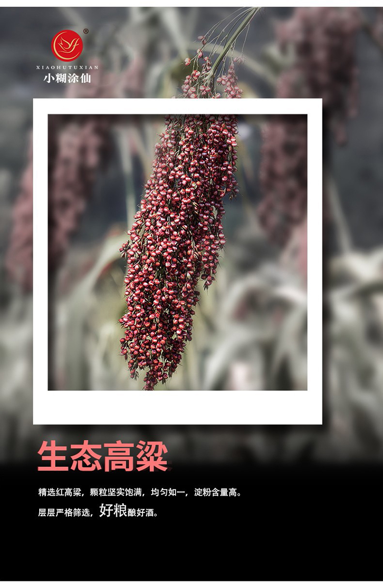 详情-06.jpg