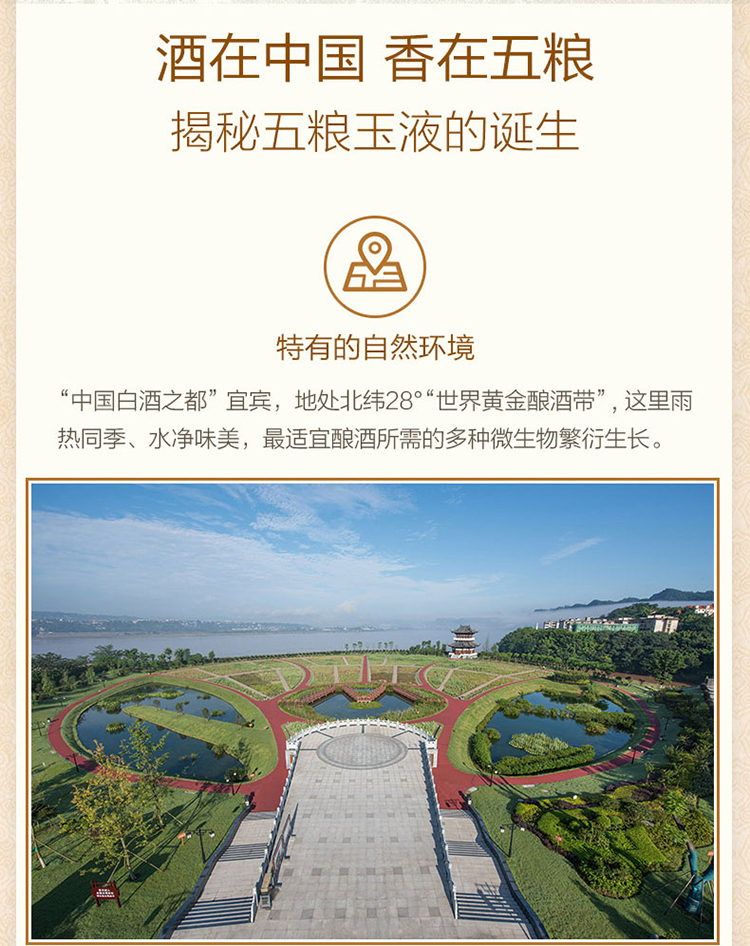 详情图片9.jpg