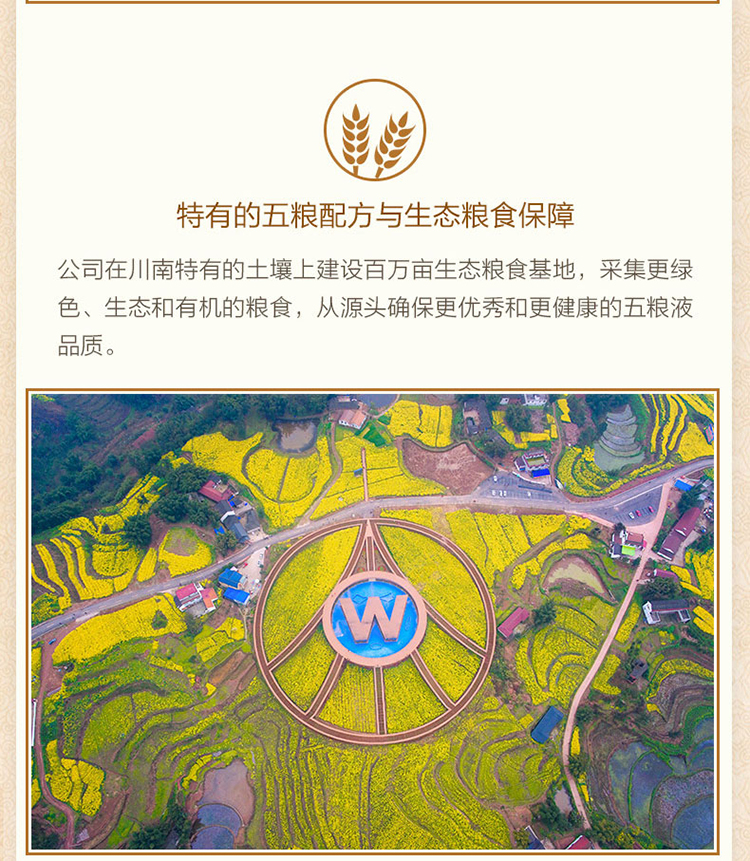 详情图片11.jpg