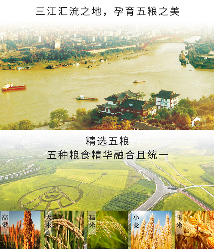 详情10.jpg
