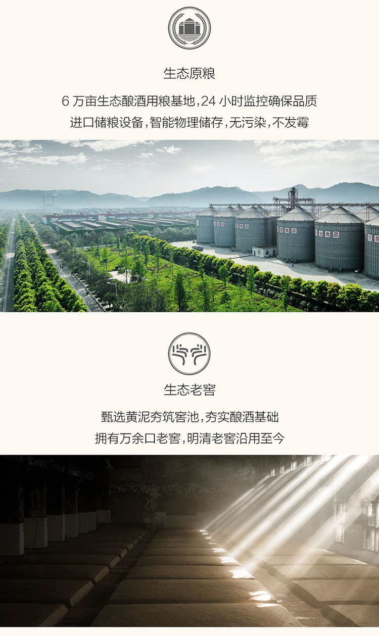 详情-10.jpg