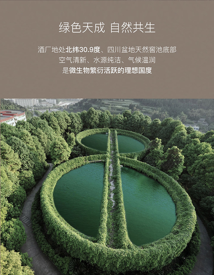 详情-08.jpg