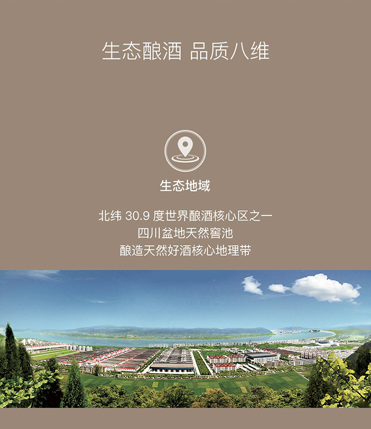 详情-10.jpg