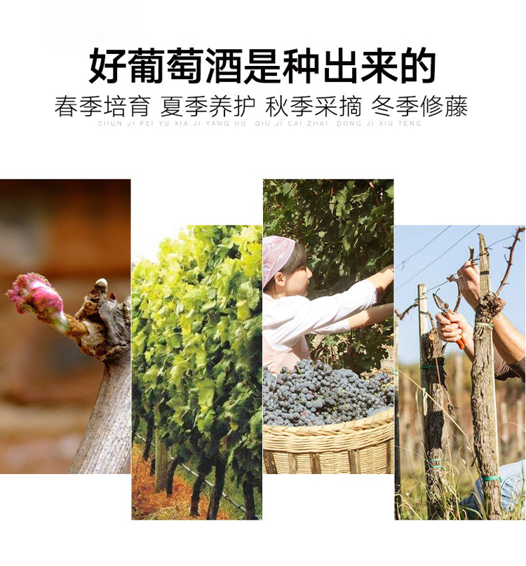 详情图片3.jpg