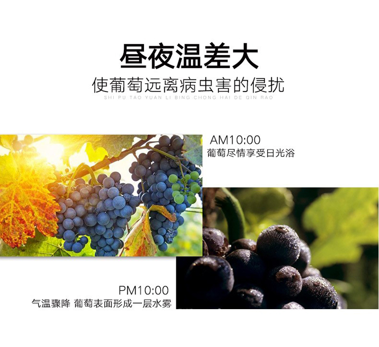 详情图片5.jpg