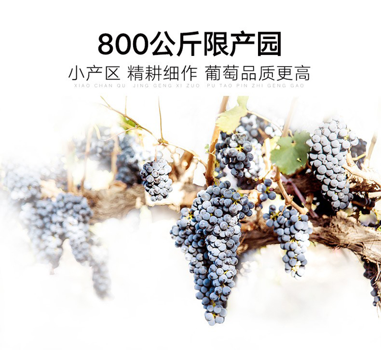 详情图片6.jpg