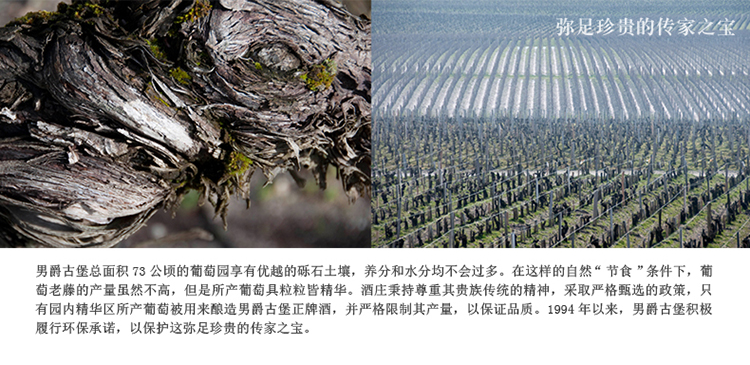 详情-08.jpg