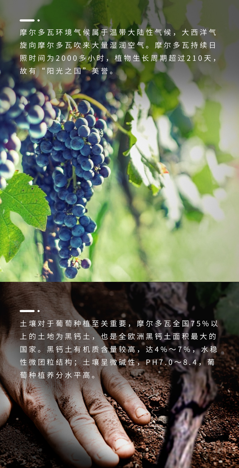 详情图片10.jpg