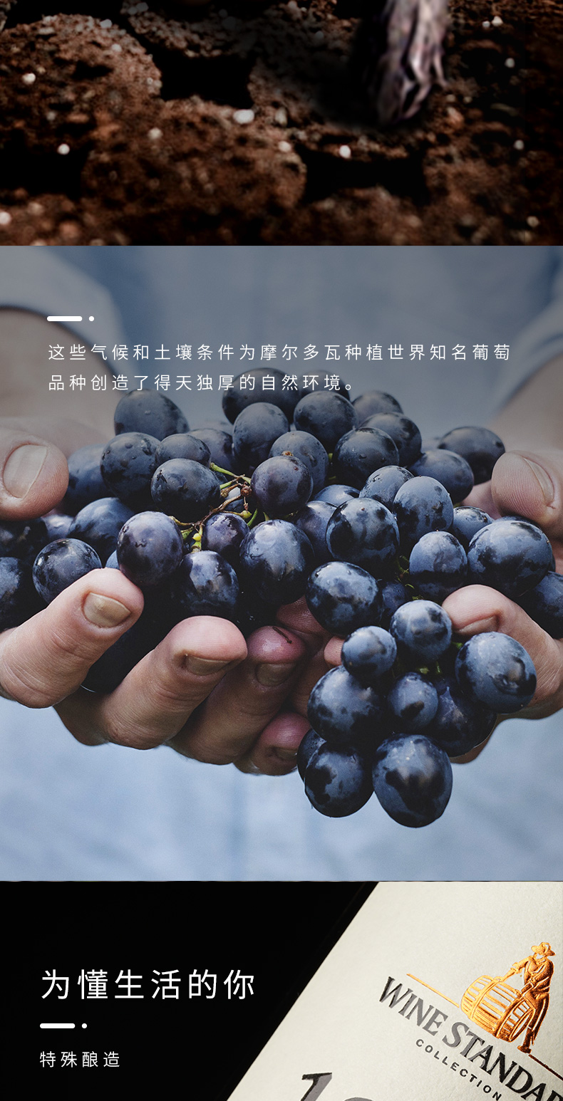 详情图片11.jpg