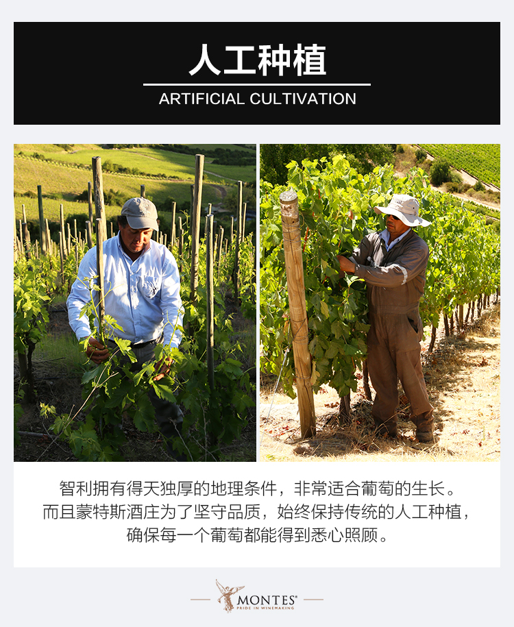 详情图片2.jpg