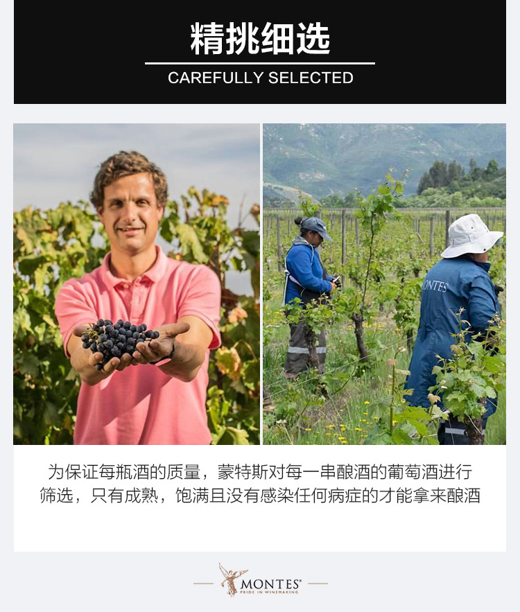 详情图片3.jpg