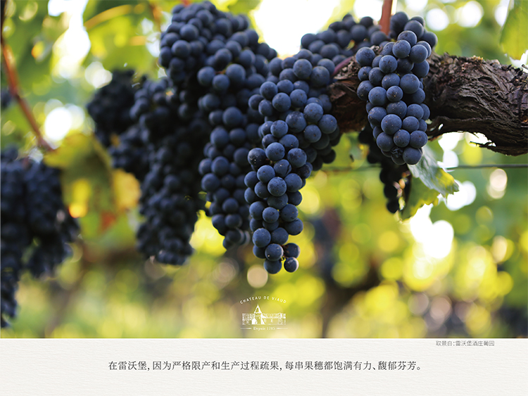 雷沃将军波尔多干红葡萄酒6.jpg
