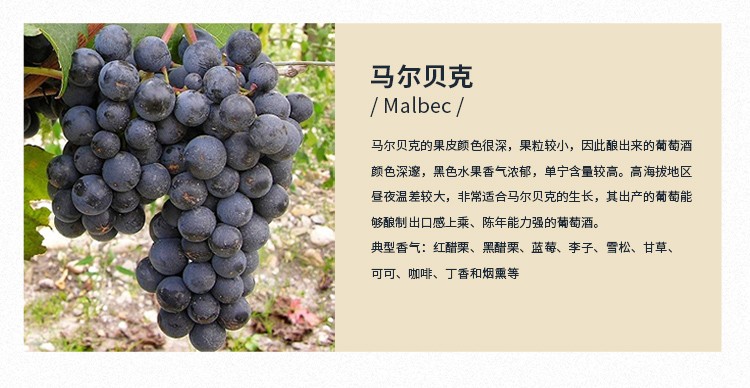 详情-05.jpg