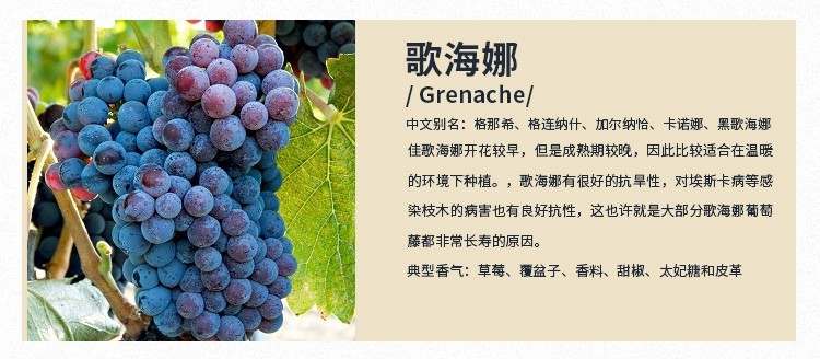 详情-03.jpg