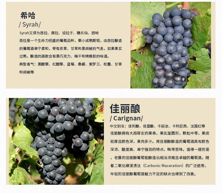详情-05.jpg