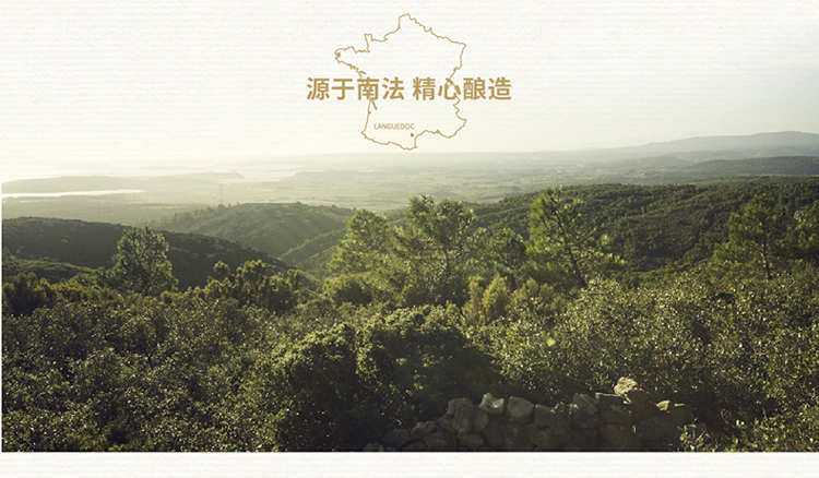 详情-05.jpg