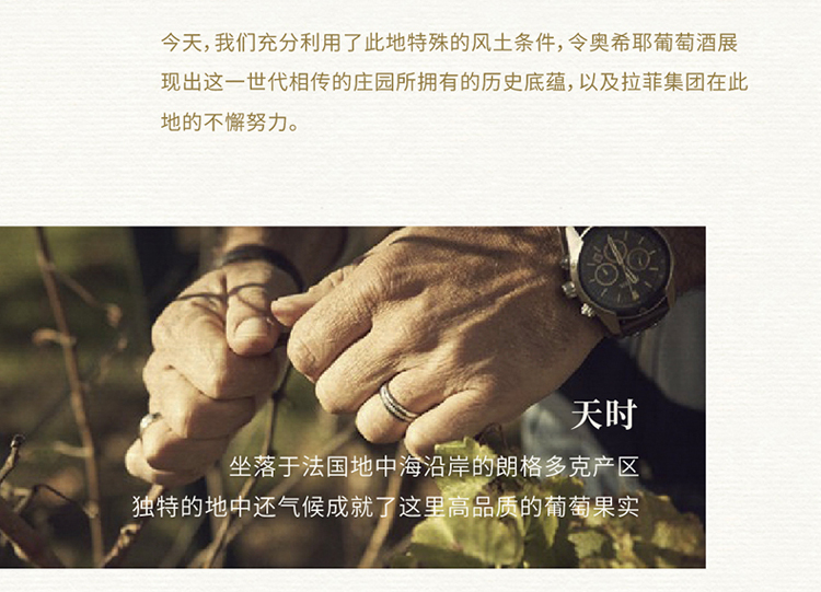 详情-10.jpg