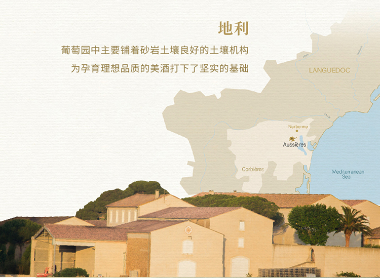 详情-11.jpg