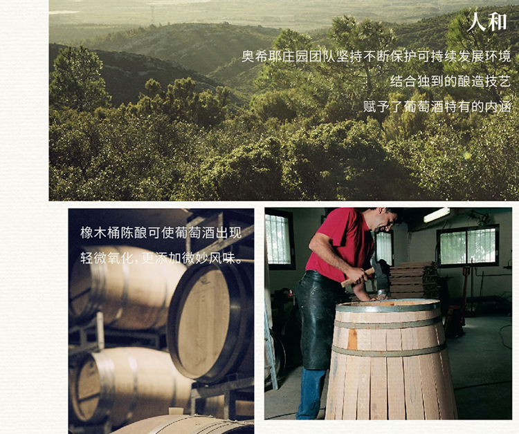 详情-12.jpg