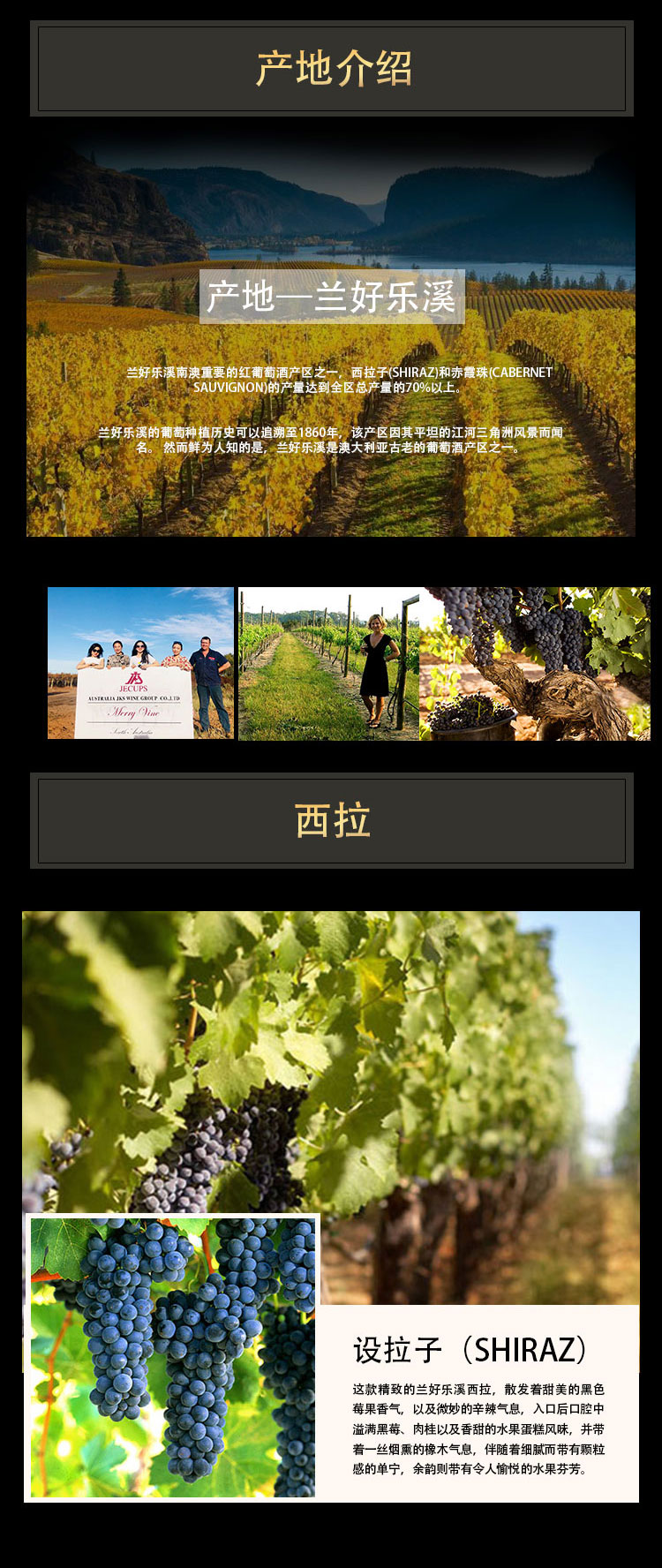 详情图片4.jpg