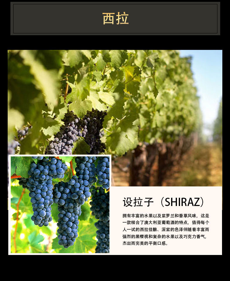 详情图片5.jpg