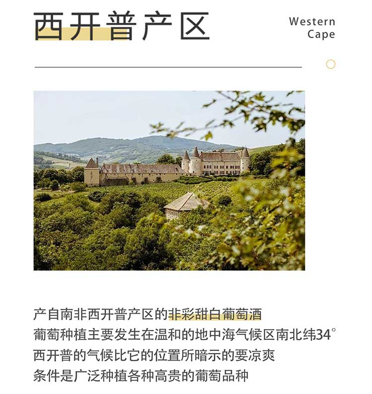 详情-04.jpg
