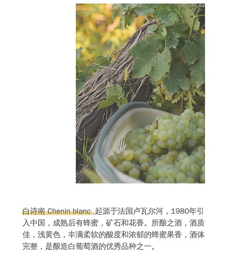 详情-07.jpg