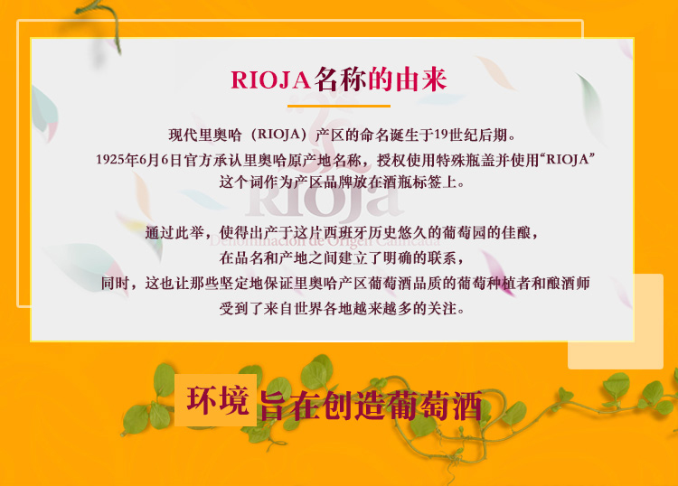 详情-02.jpg