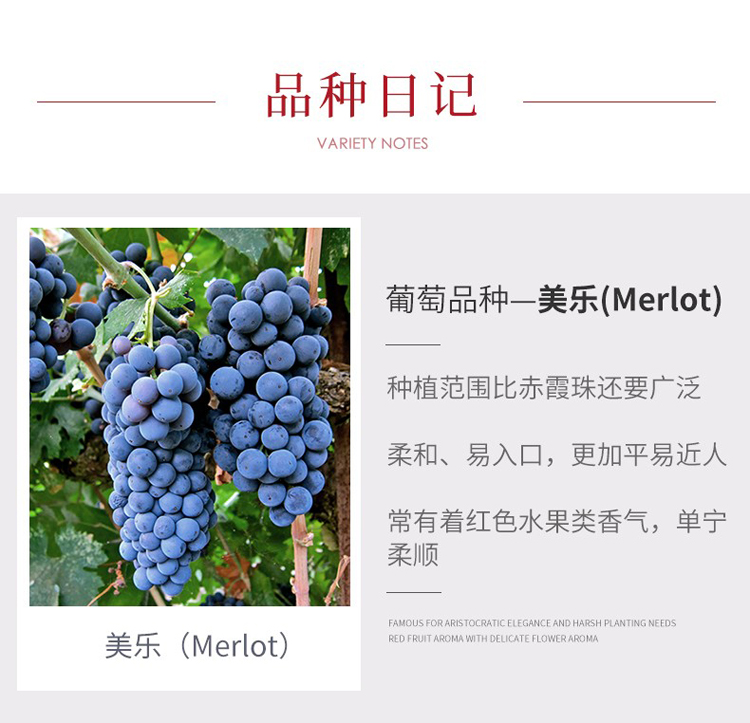 详情图片11.jpg