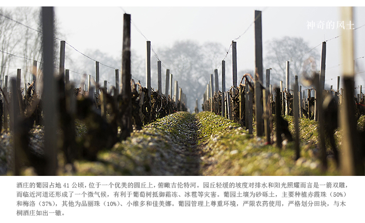 详情-05.jpg