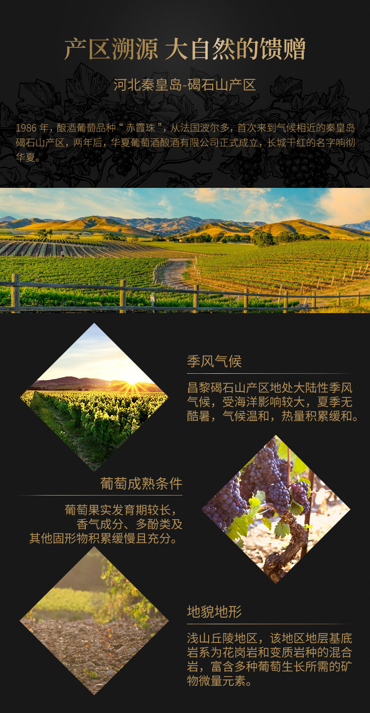 详情-08.jpg