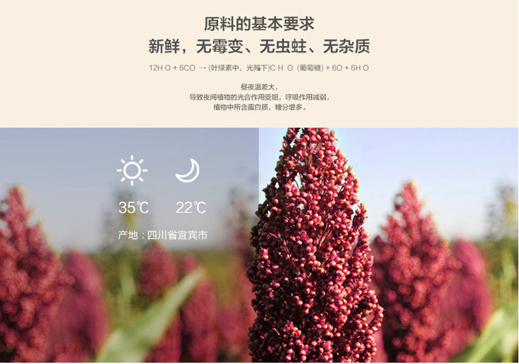 详情-10.jpg