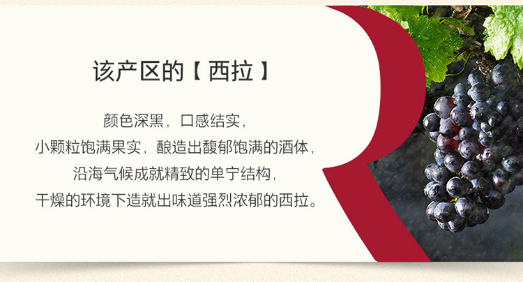 详情-03.jpg