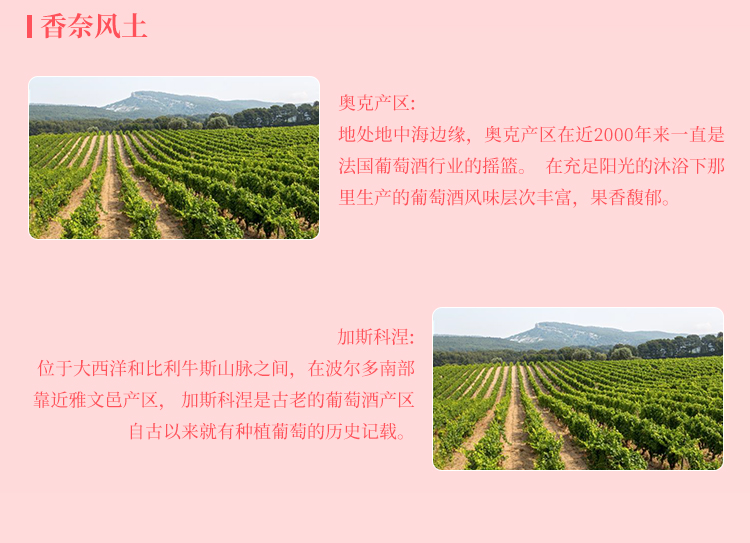 详情-14.jpg