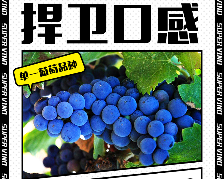 超人详情_07.jpg