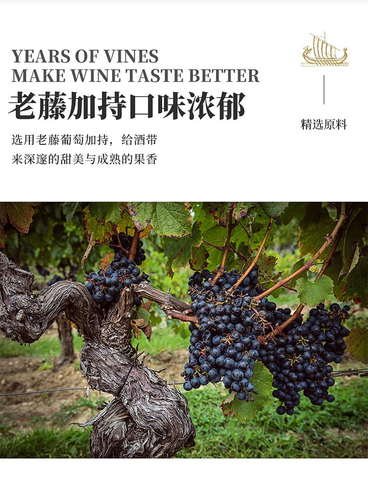 详情图片7.jpg