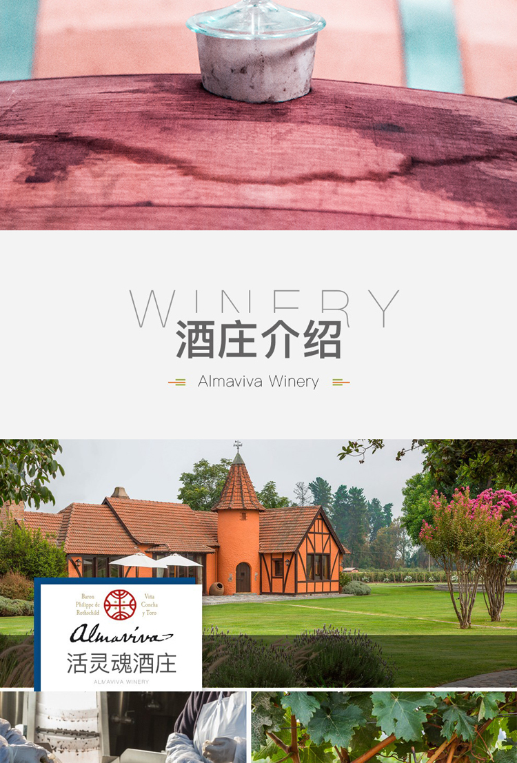 详情图片5.jpg