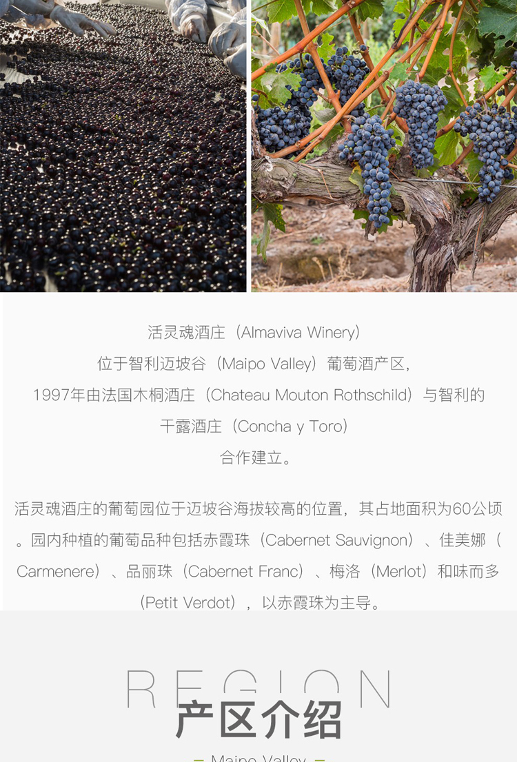 详情图片6.jpg