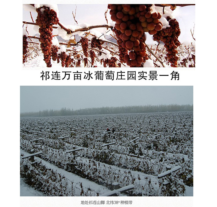 详情-11.jpg