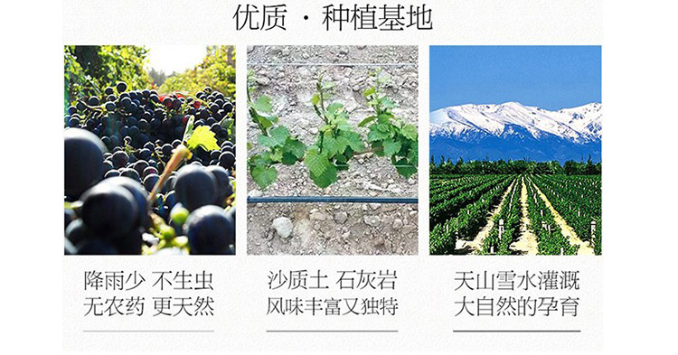 详情-12.jpg