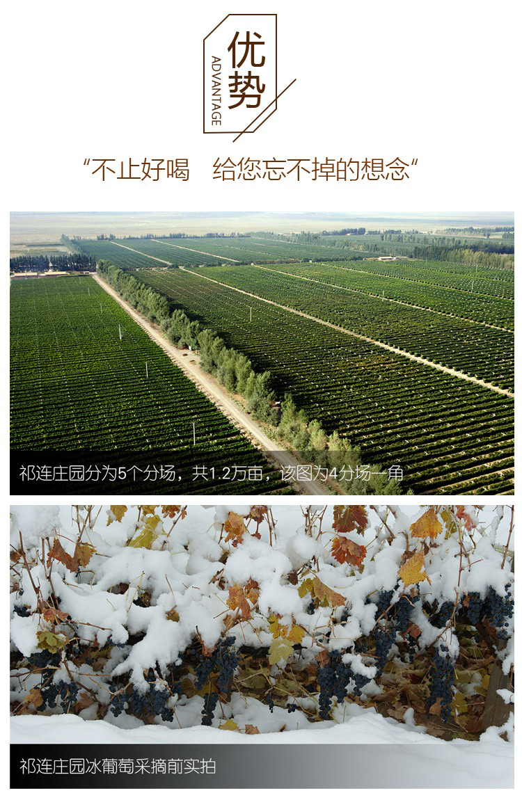 详情-15.jpg